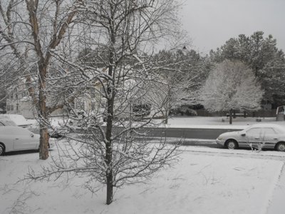 ./2010/Snow/thumbFeb